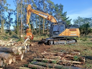 Der Case CX210X ist vielseitig einsetzbar, hier mit einem Harvester für Forstarbeiten ausgestattet. (Bild: Case Construction Equimpment.)